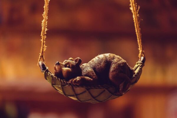 chrzest swiety oliwii w zakopanem 0058 chrzest swiety oliwii w zakopanem 0058