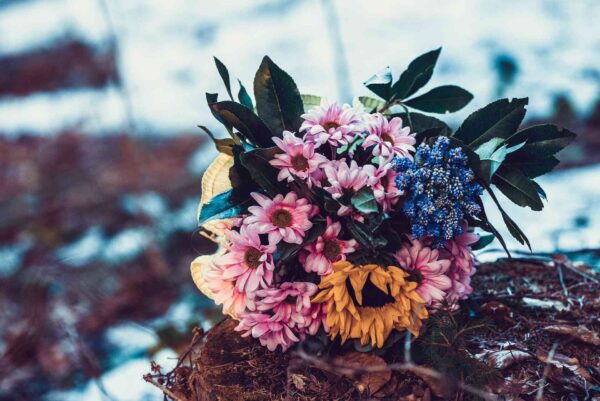 foto sesja w lesie kinga i kamil 0055 foto sesja w lesie kinga i kamil 0055