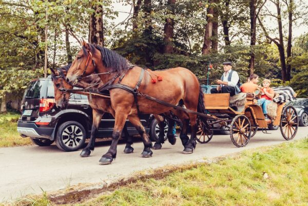 koncertowy przewrót pałacowy 2024 0046 koncertowy przewrót pałacowy 2024 0046