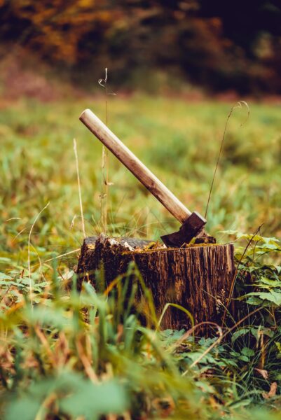 sesja fotograficzna w stylu retro anna piotr i dzieci 0024 sesja fotograficzna w stylu retro anna piotr i dzieci 0024